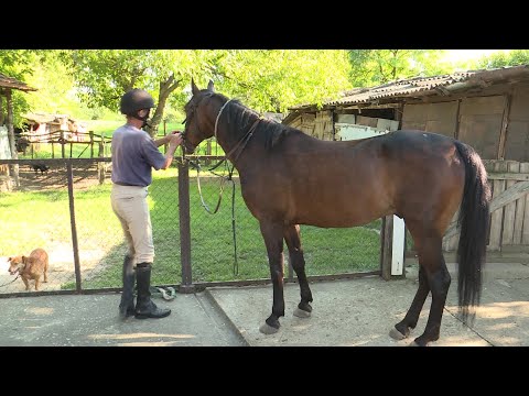 Vajdasági Futam –  Magyarkanizsa