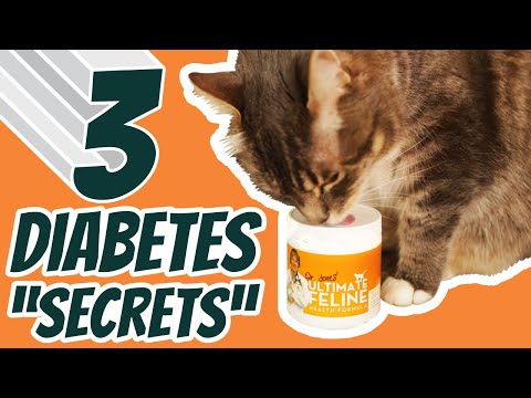 Dr. Jones' Cat's Diabetes Journey: 3 Home Remedies That Really Work!