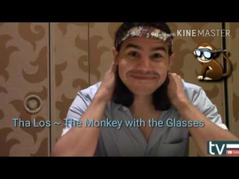 Tha Los ~ The Monkey with the Glasses