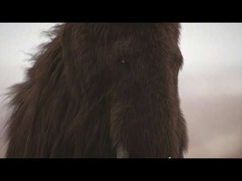 Mammoth – The Giant Mammal From The Past / Documentary (English/HD)