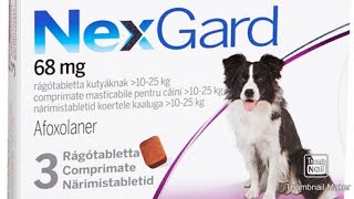 NexGard for Dogs/  Review/ Pangtanggal ng garapata