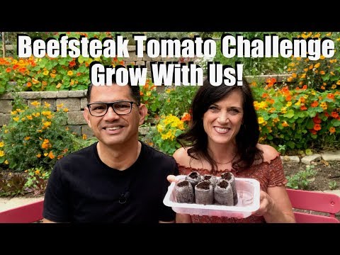 , title : '2019 Beefsteak Tomato Challenge -  Grow With Us & Starting Seeds!'