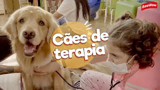 CÃES TERAPEUTAS INSPIRAM CRIANÇAS COM CÂNCER | Baw Waw Social @moradoresderuaeseuscaesmrs868