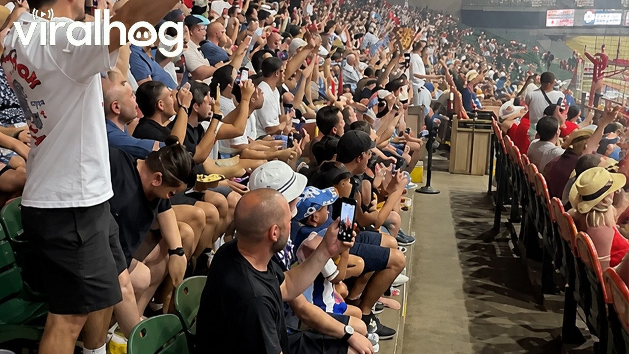 England Fans Visit Texas Rodeo || ViralHog