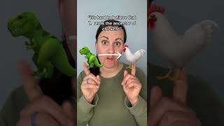 Did chickens evolved from T.rex? #paleontology #dinosaur #trex #chicken #learn