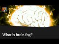 Dr Ali Mazaheri - What is brain fog and why do we get it?