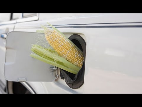 Biofuels: An Eco-Friendly Alternative to Fossil Fuels?