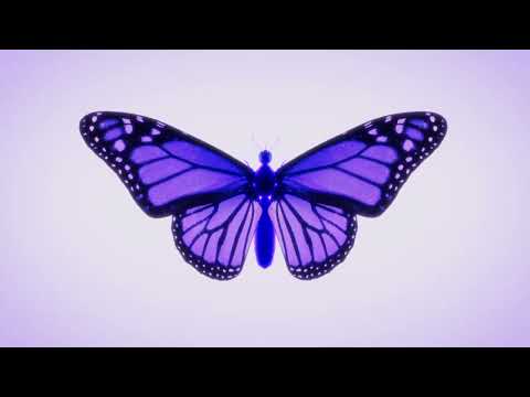 Redrum - Burnout [OFFICIAL VISUALIZER]