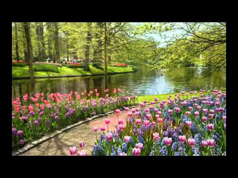Парк Цветов в Голландии