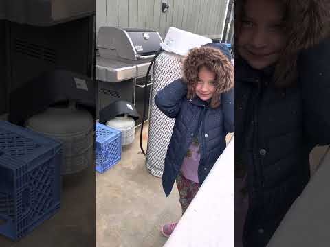 User submitted video