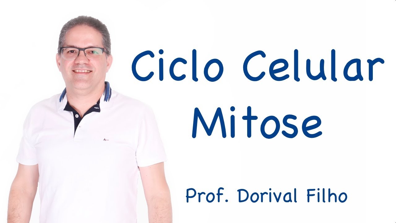 Ciclo Celular - Mitose