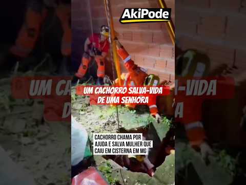AkiPode - UM CACHORRO SALVOU UMA VIDA EM MINAS GERAIS 🐶🚨