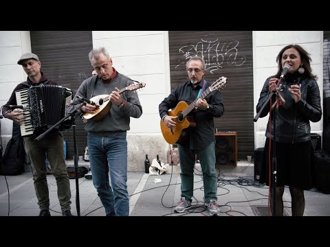 BARCOLANDO 2021 - Rosamarina