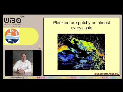 MSEAS 2016 Simon Levin