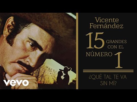 Vicente Fernández - Qué Tal Te Va Sin Mí (Tema Remasterizado) [Cover Audio]