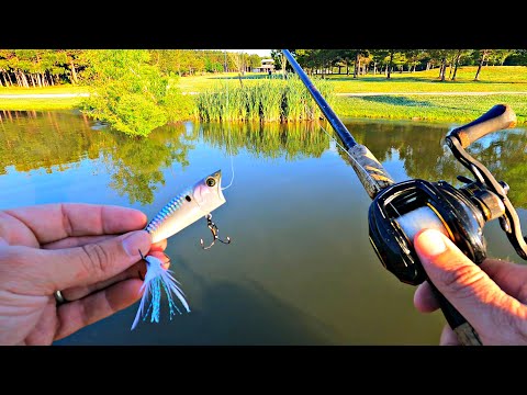 New Popper Produces BIG Topwater Blowups!