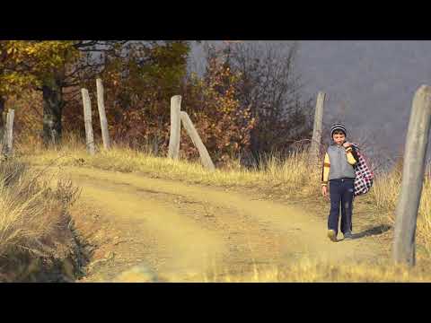 NOU!!! Valentin Sanfira Din copilul de la tara