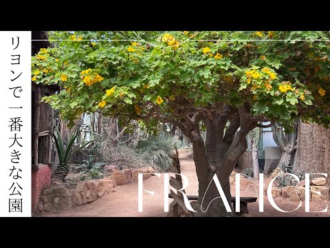 リヨン植物園 - 定義