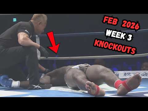 MMA & Boxing Knockouts February 2026 | Week 3 Highlights