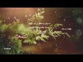 Powerful Quran For Body Healing And Energy Cleansing Noor Healing