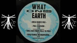 What On Earth - Whales (Orca Dance Mix)
