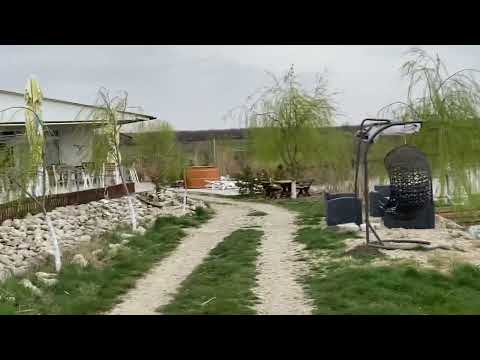 Complexul Turistic de pescuit Balta Corata 1