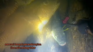 Download lagu best moment , spearfishing ,nembak ikan nila malam hari ... !!! mp3 Download lagu best moment , spearfishing ,nembak ikan nila malam hari ... !!! mp3