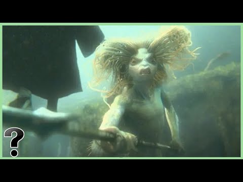 What If Humans Had To Live Underwater