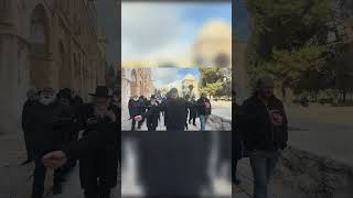 קבלת שבת ויחי בקדושה ושמחה בהר הבית #מקדש (ישיבת הר הבית) - התמונה מוצגת ישירות מתוך אתר האינטרנט יוטיוב. זכויות היוצרים בתמונה שייכות ליוצרה. קישור קרדיט למקור התוכן נמצא בתוך דף הסרטון קבלת שבת ויחי בקדושה ושמחה בהר הבית #מקדש (ישיבת הר הבית) - התמונה מוצגת ישירות מתוך אתר האינטרנט יוטיוב. זכויות היוצרים בתמונה שייכות ליוצרה. קישור קרדיט למקור התוכן נמצא בתוך דף הסרטון