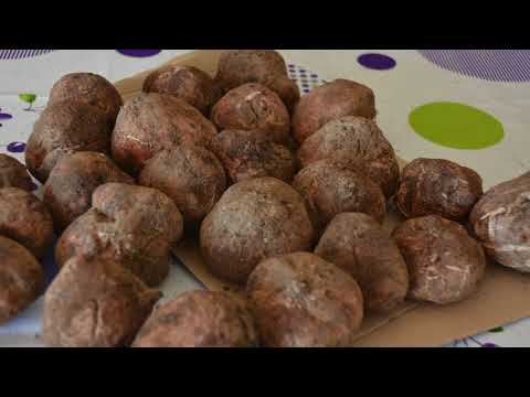 GARROVILLAS PROMOCIONAL 1