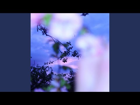 last night (glo Remix)