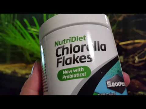 Product Review: Seachem Nutridiet Chlorella Flakes