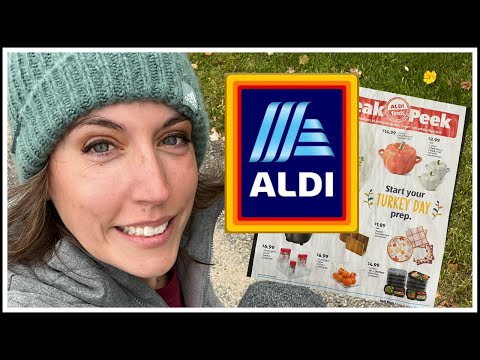 Let’s look at the Sneak Peek & chit chat AlLDI November 2021