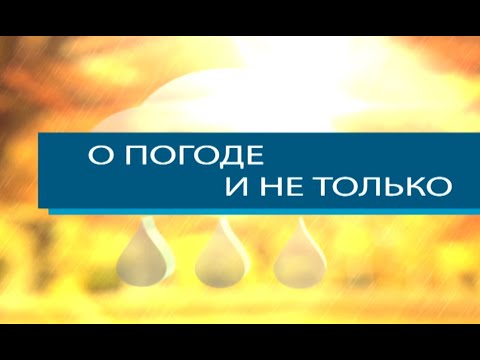 О погоде и не только от 5 февраля 2021 года
