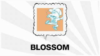 RIP SLYME - BLOSSOM