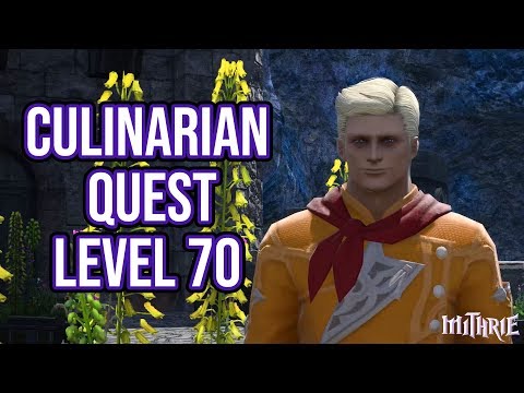 FFXIV 4.58 1317 Culinarian Quest Level 70