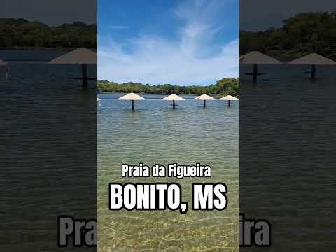 Praia da Figueira - Bonito, MS.