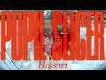 Pupil Slicer || Blossom