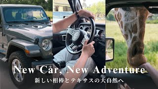 週末はテキサスの大自然へ。新しい相棒とのんびり楽しむサファリパーク|life in Dallas