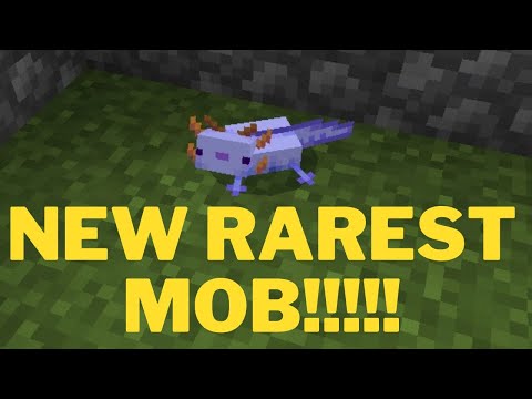How to spawn a BABY blue axolotl in Minecraft.