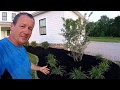 Landscaping ideas installed for a New Build House - PART 2, wrap up