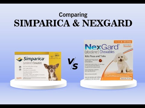 Comparing Simparica vs Nexgard