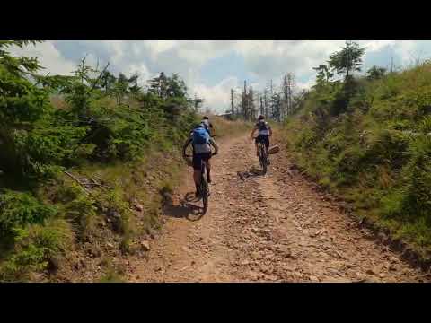 Bike trip 03.7.2022 - Stâna de Vale-Vf Poieni-Șaua Bohodeiului-Canton Ciripa-Stâna de Vale