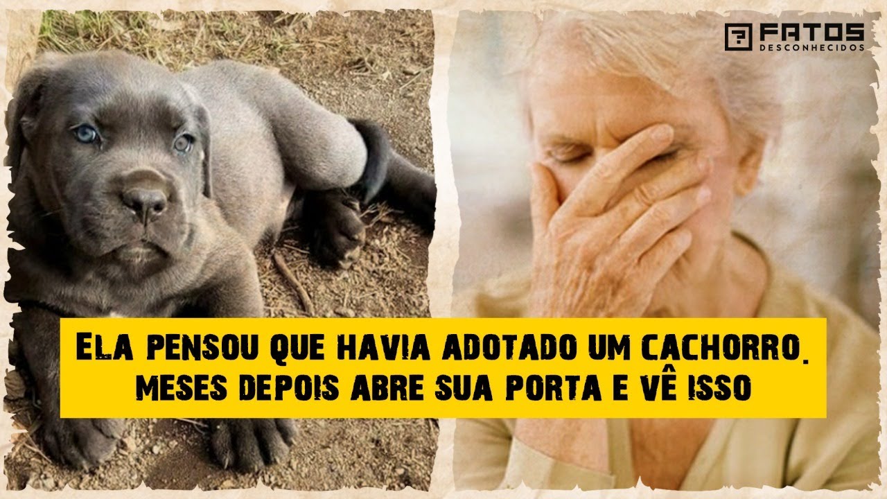 Idosa acreditava ter adotado um cachorro, e ela foi salva por uma terrível criatura