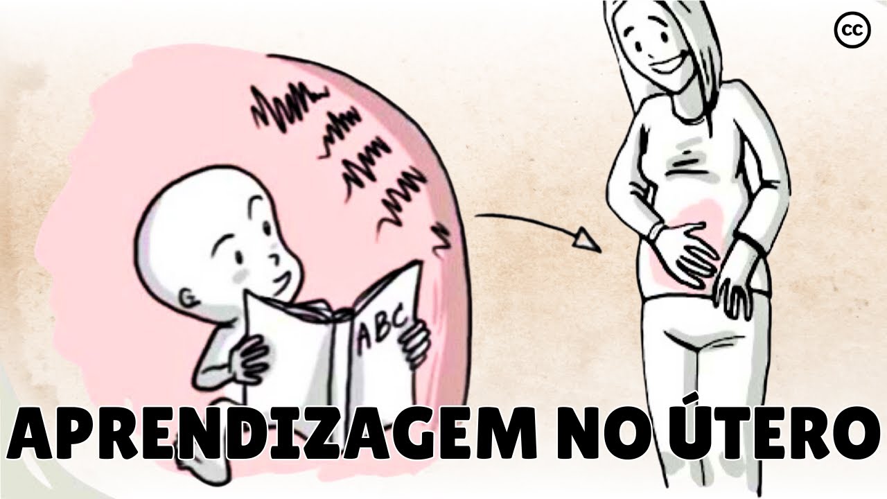 Desenvolvimento Pré-Natal: o Que os Bebês Aprendem No Útero