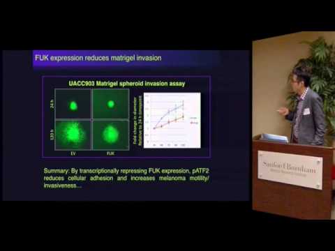Fucose: Targeting Melanoma with Sugar - YouTube