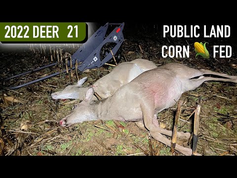 CORN STUBBLE DOUBLE - Late Season Doe Hunting