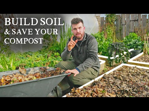 Winterize Garden Beds: No-Compost Prep for Soil Health
