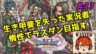 【ライブ配信】生き甲斐を失いました(´・ω・`)【switch版ドラゴンクエスト11S】