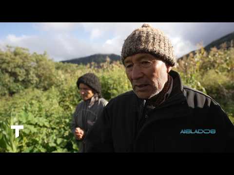 Aislados en Calilegua: Betty y Tito viven solos a 3.000 metros rodeados de montañas y nubes